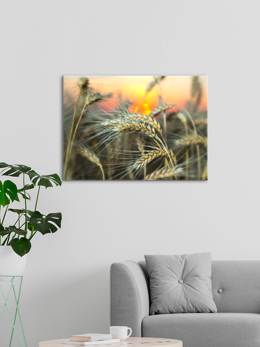 Обработанное