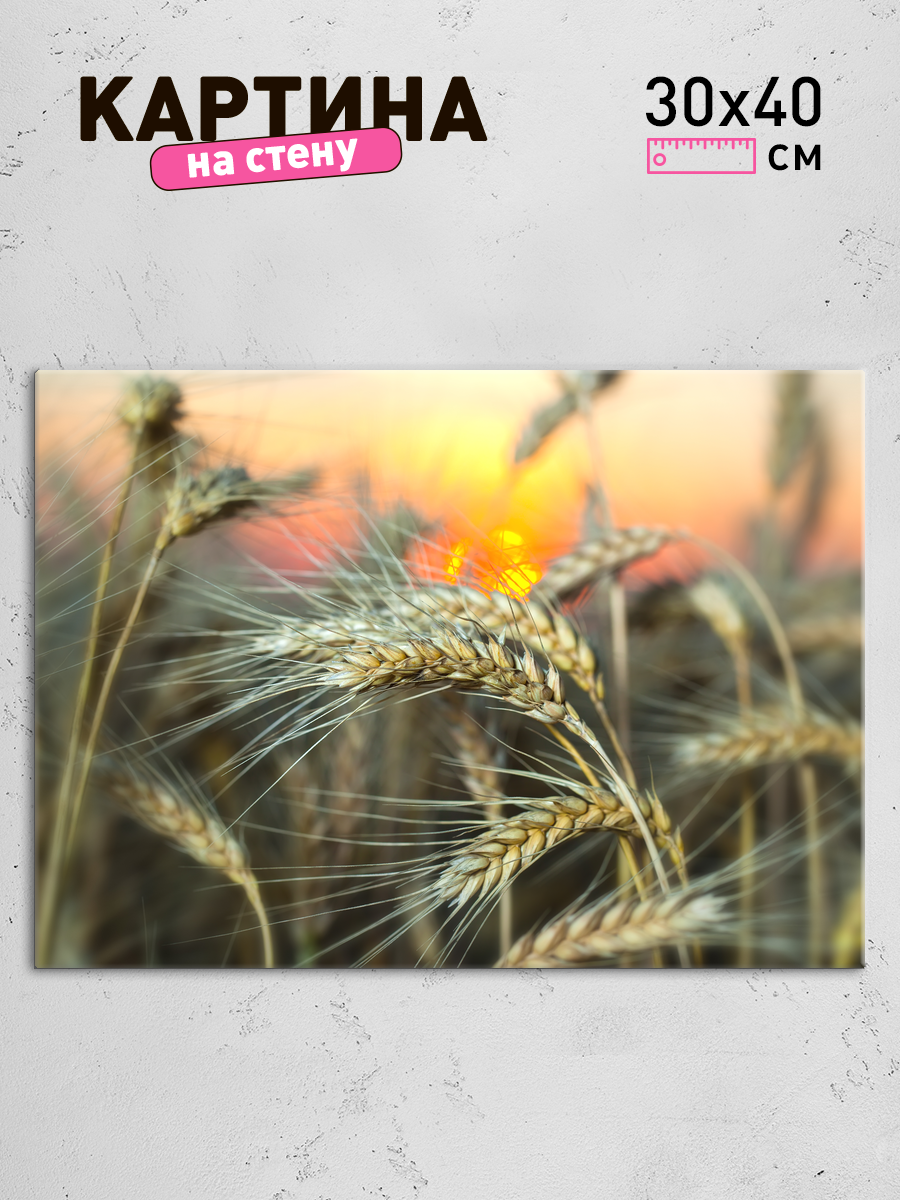 Обработанное