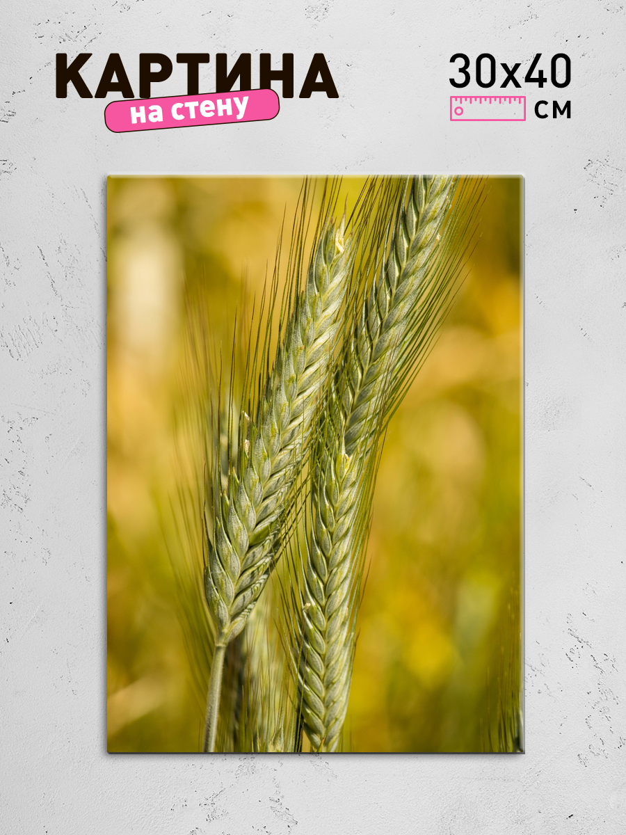 Обработанное