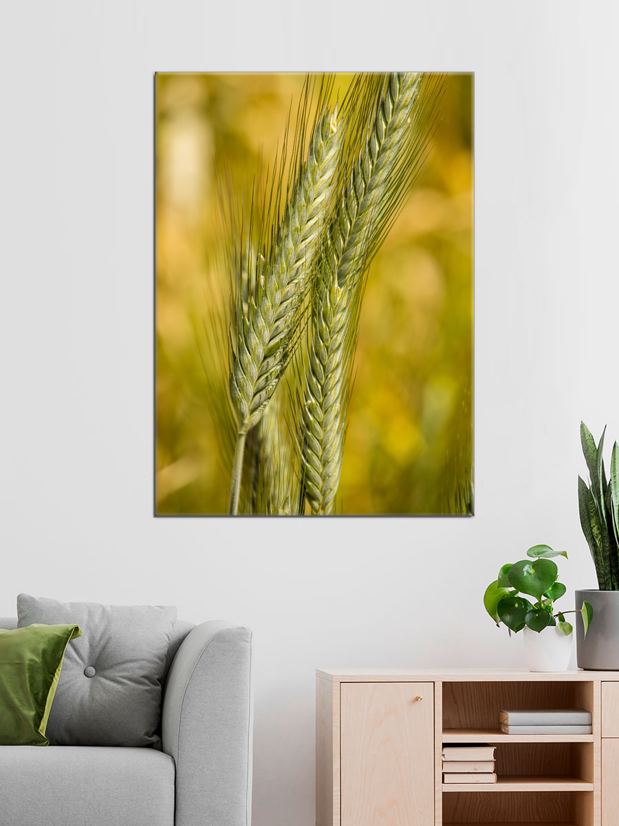 Обработанное