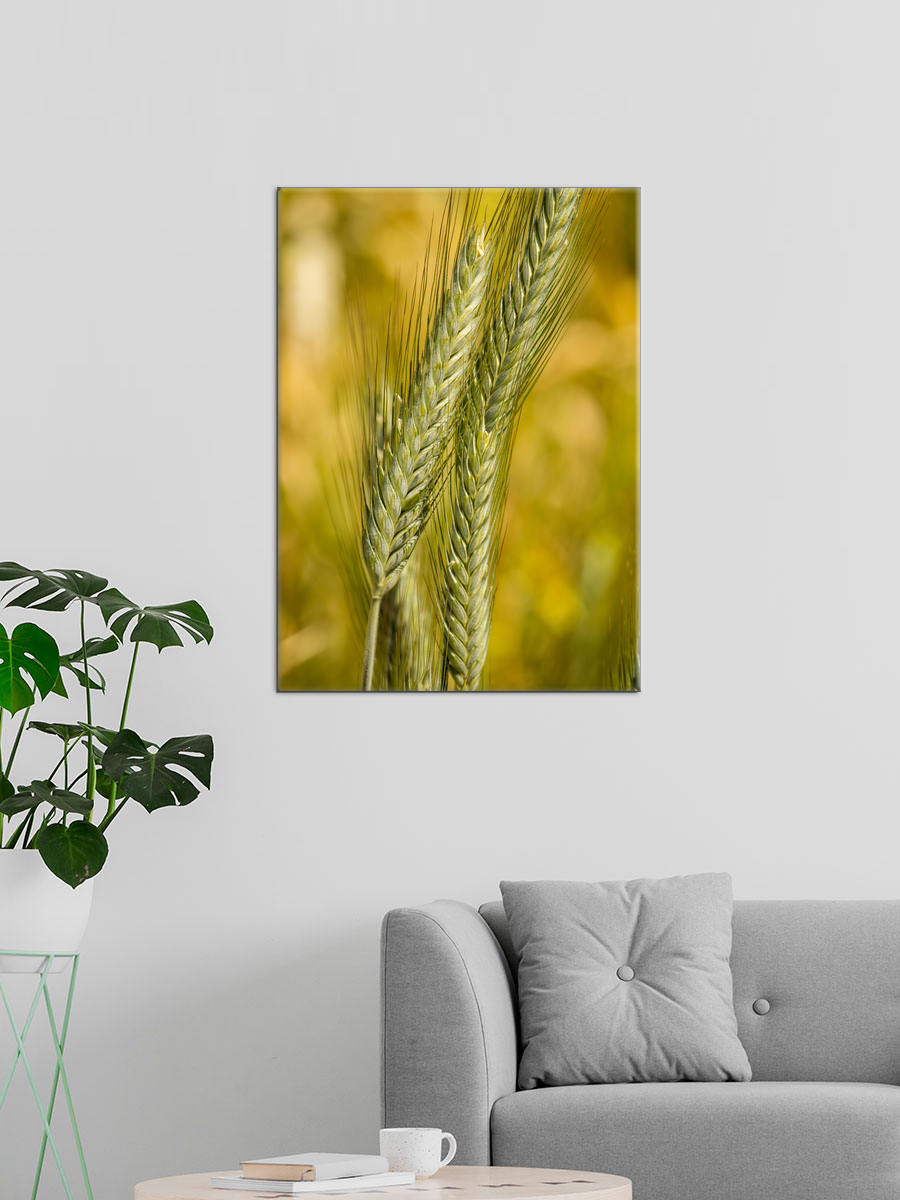 Обработанное