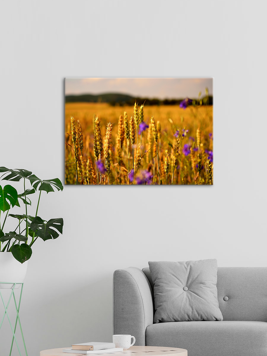 Обработанное