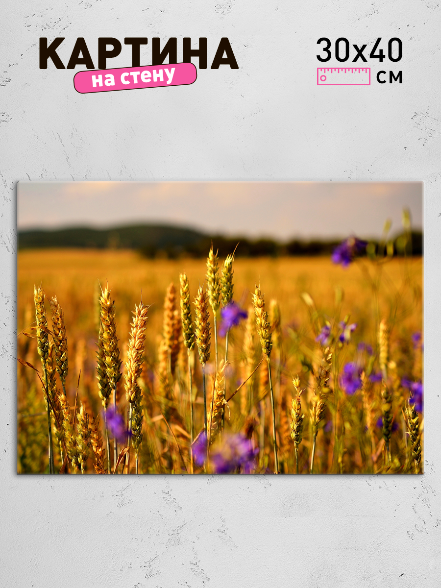 Обработанное