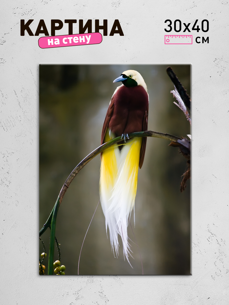 Обработанное