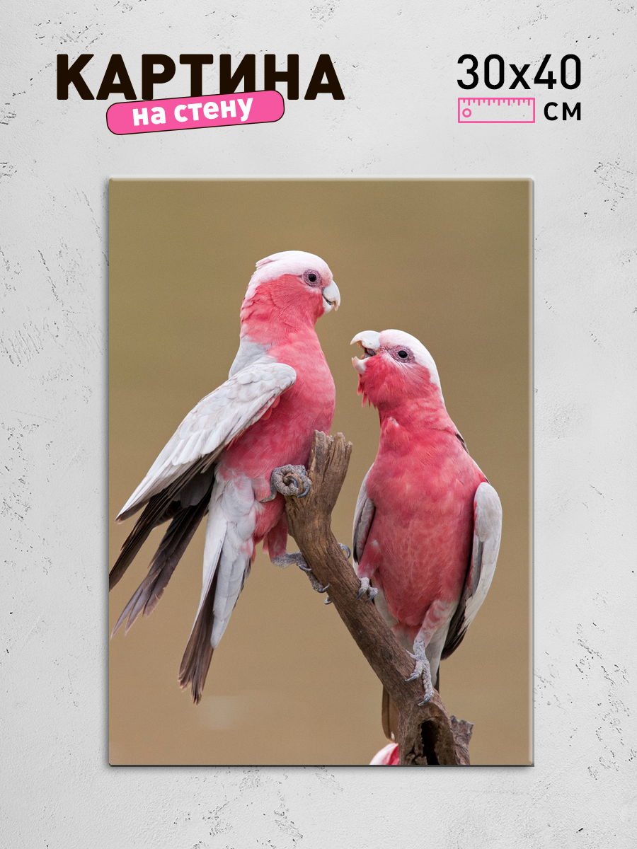 Обработанное