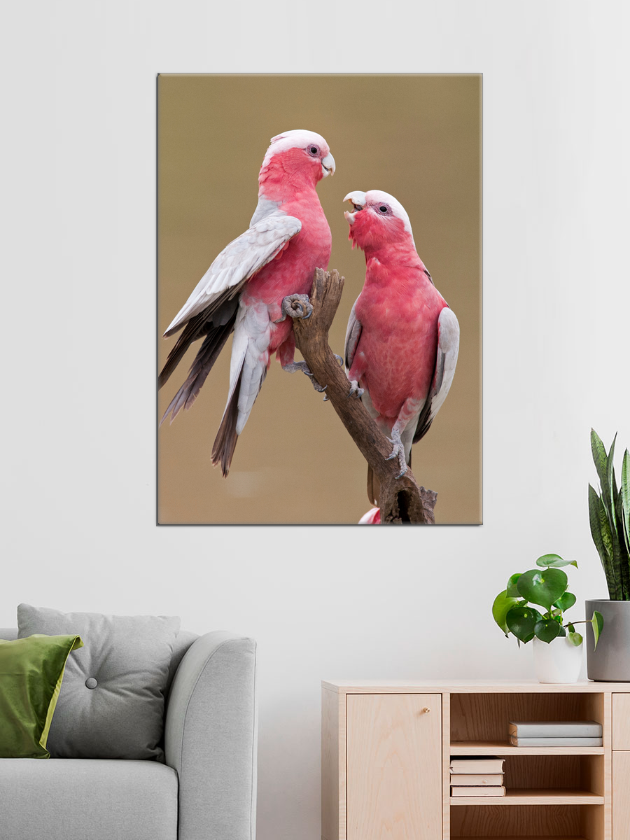 Обработанное