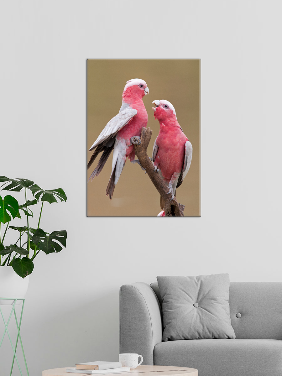 Обработанное