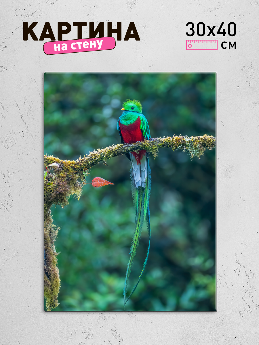 Обработанное