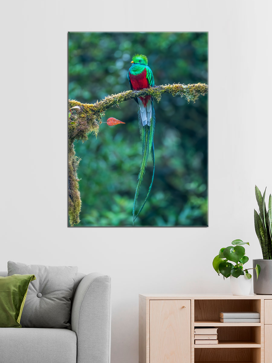 Обработанное