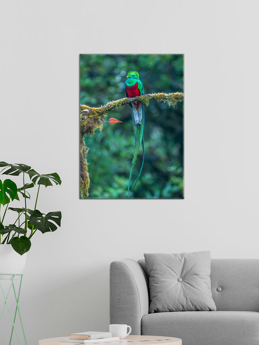 Обработанное