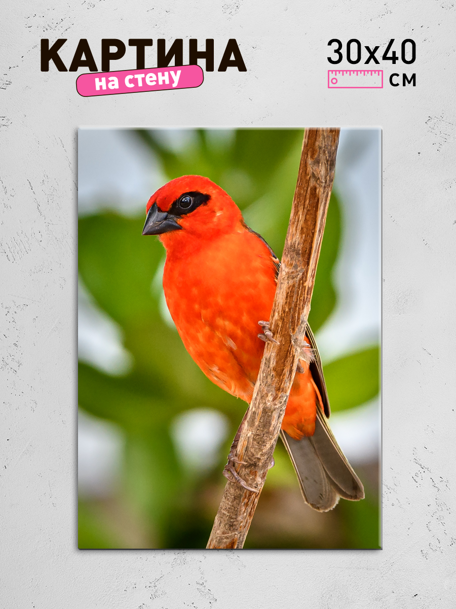 Обработанное