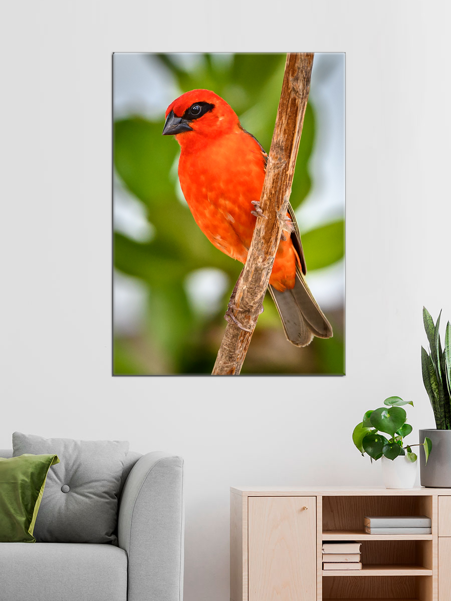 Обработанное