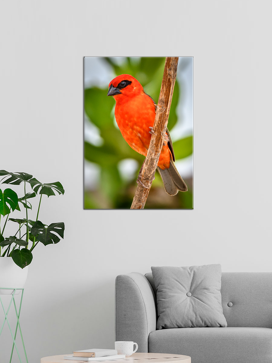 Обработанное