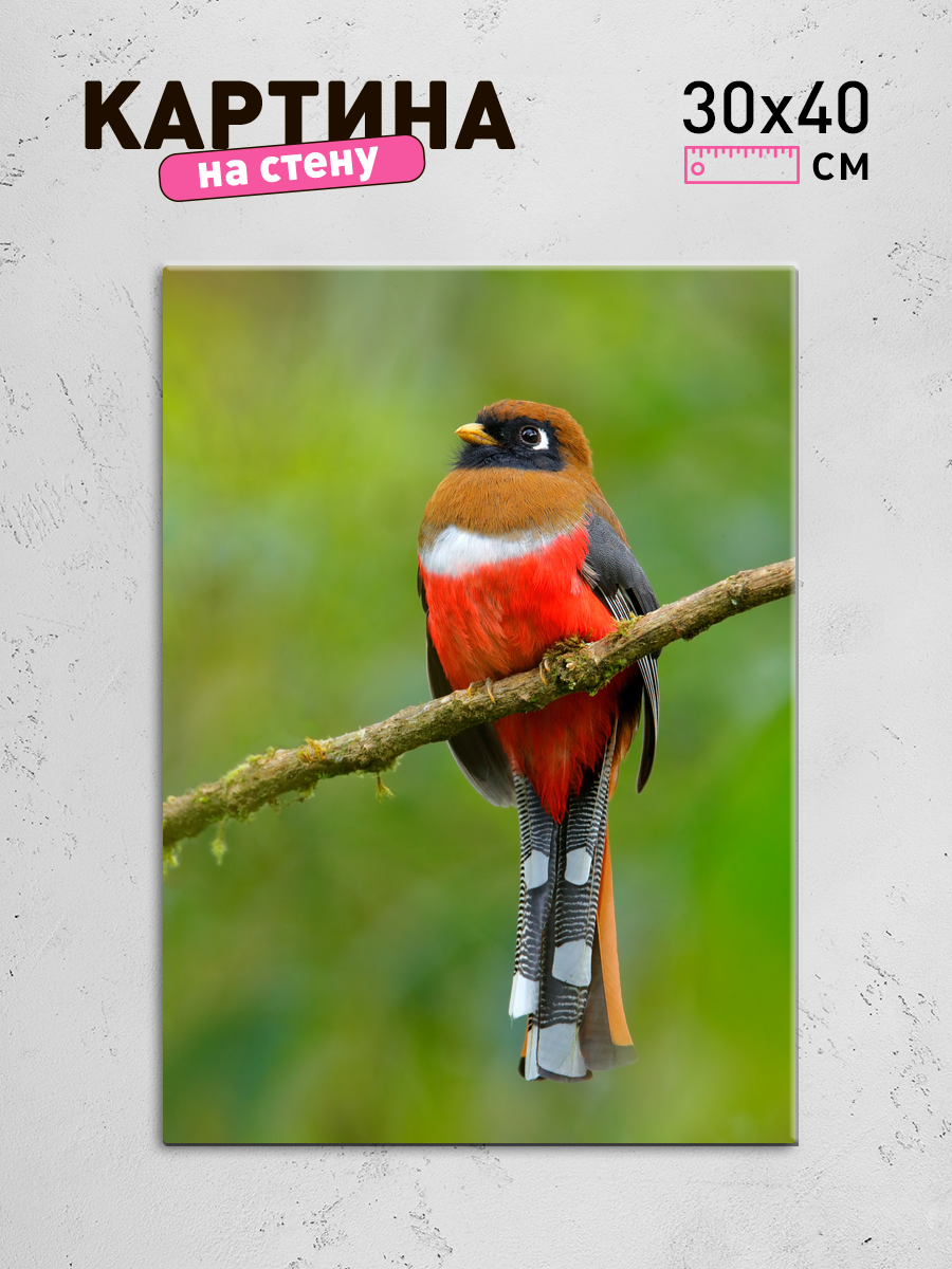 Обработанное