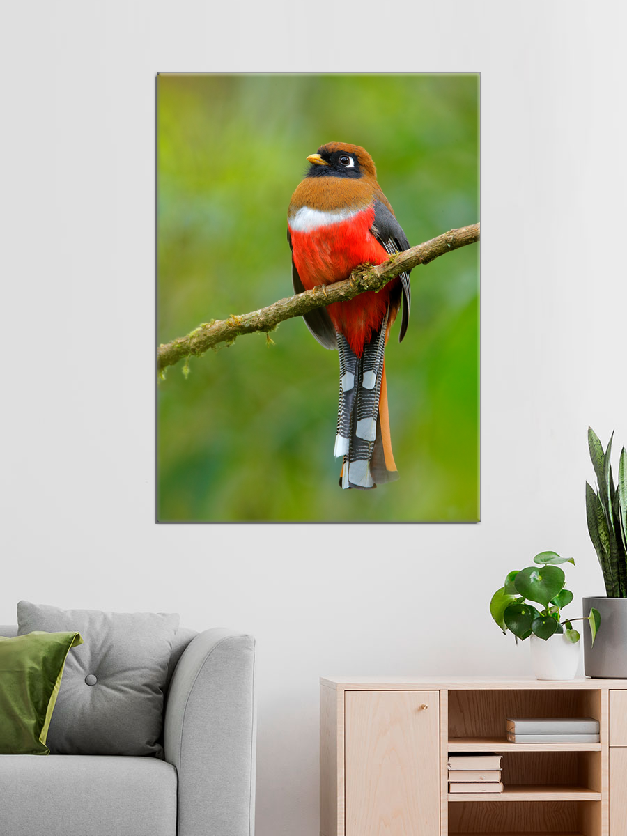 Обработанное