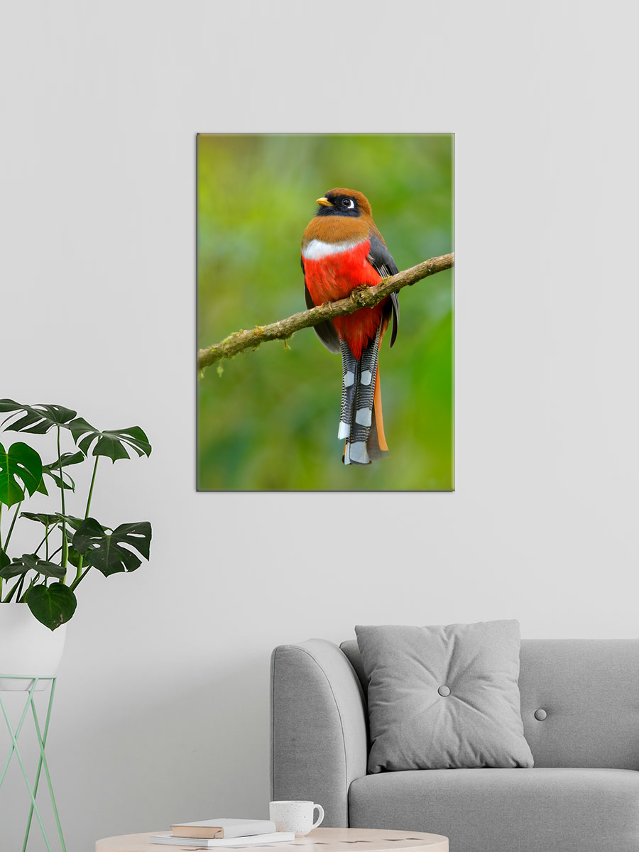 Обработанное