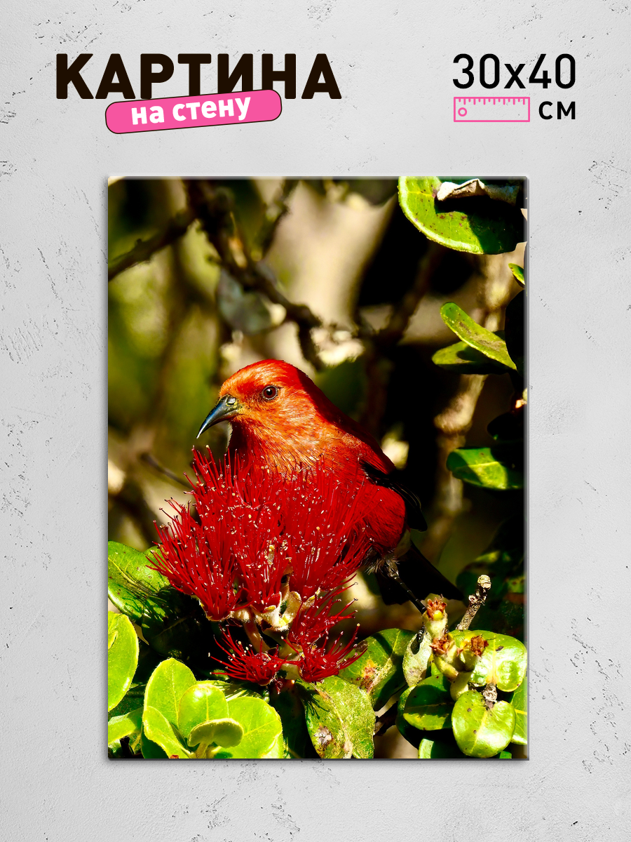 Обработанное