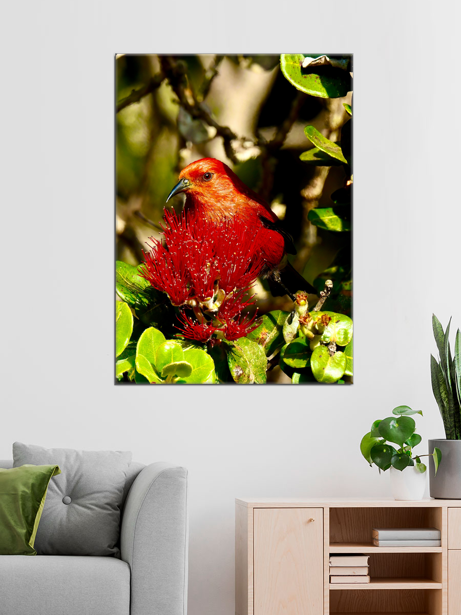 Обработанное