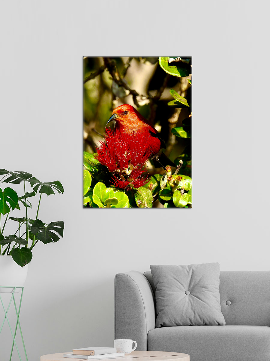 Обработанное