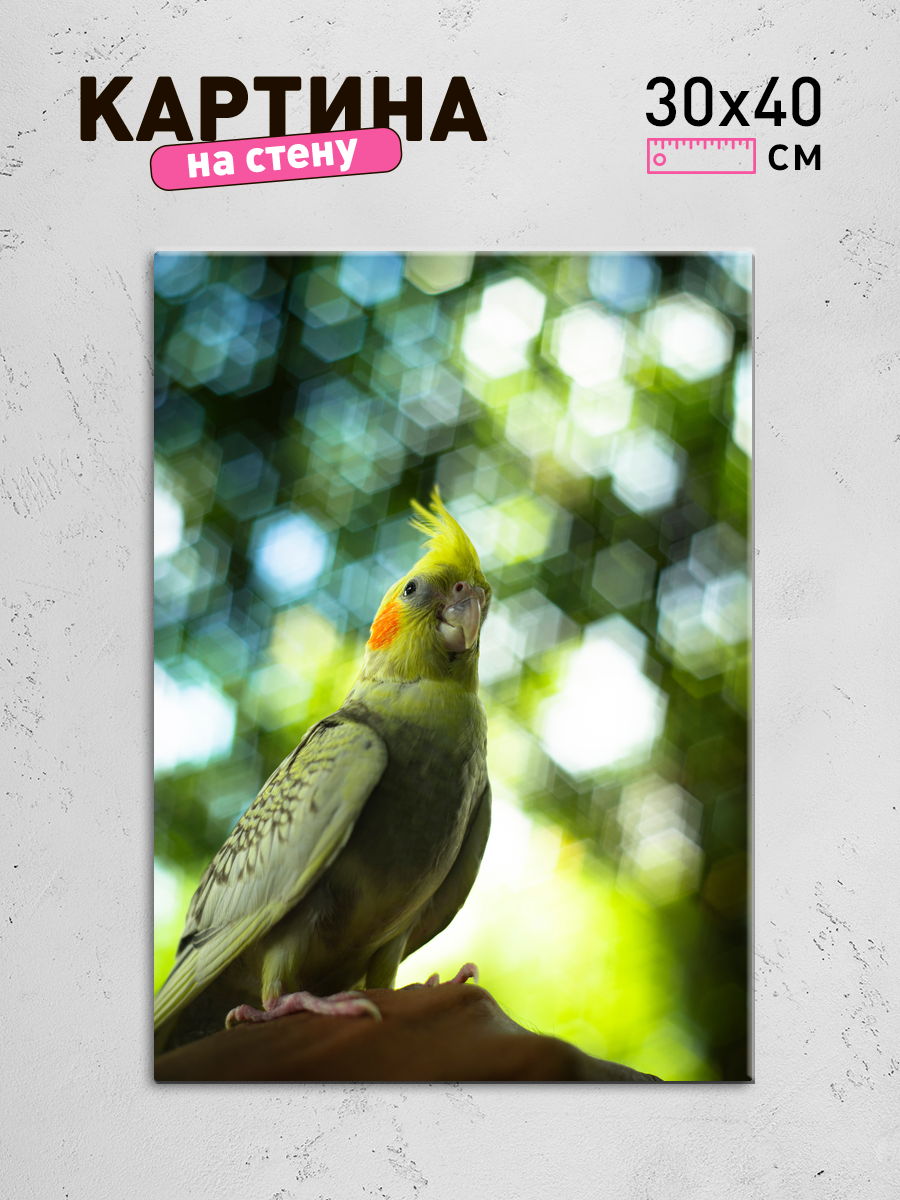 Обработанное