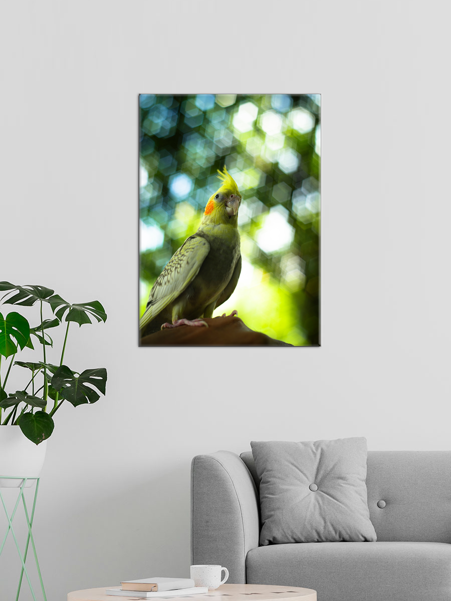 Обработанное